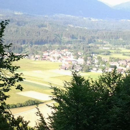 Ferienhaus Dorfruhe Sankt Stefan an der Gail エクステリア 写真