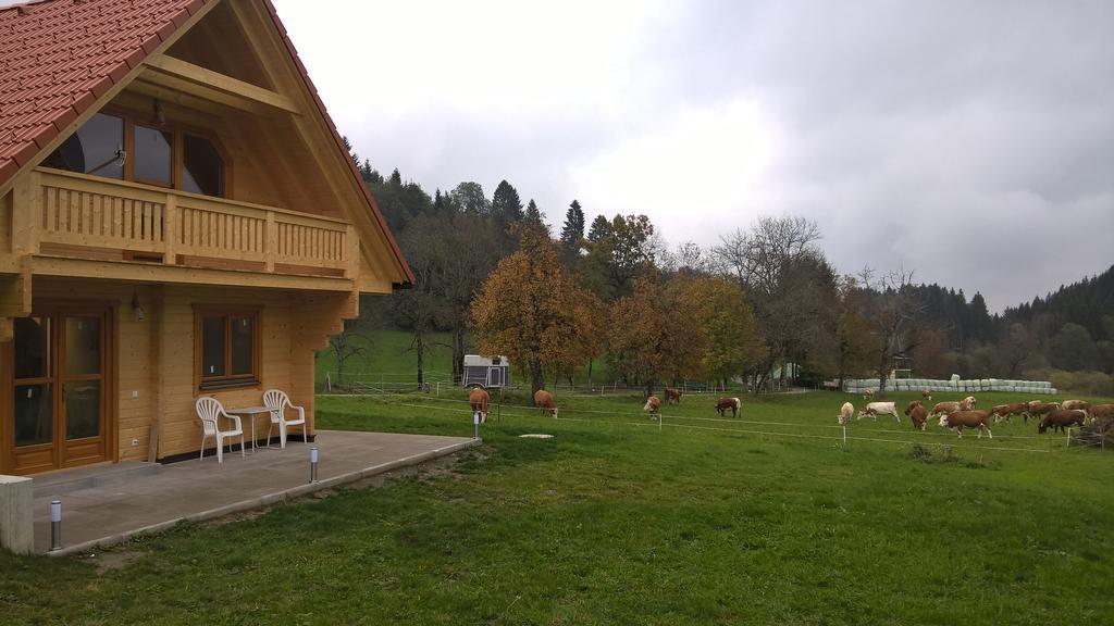 Ferienhaus Dorfruhe Sankt Stefan an der Gail 部屋 写真